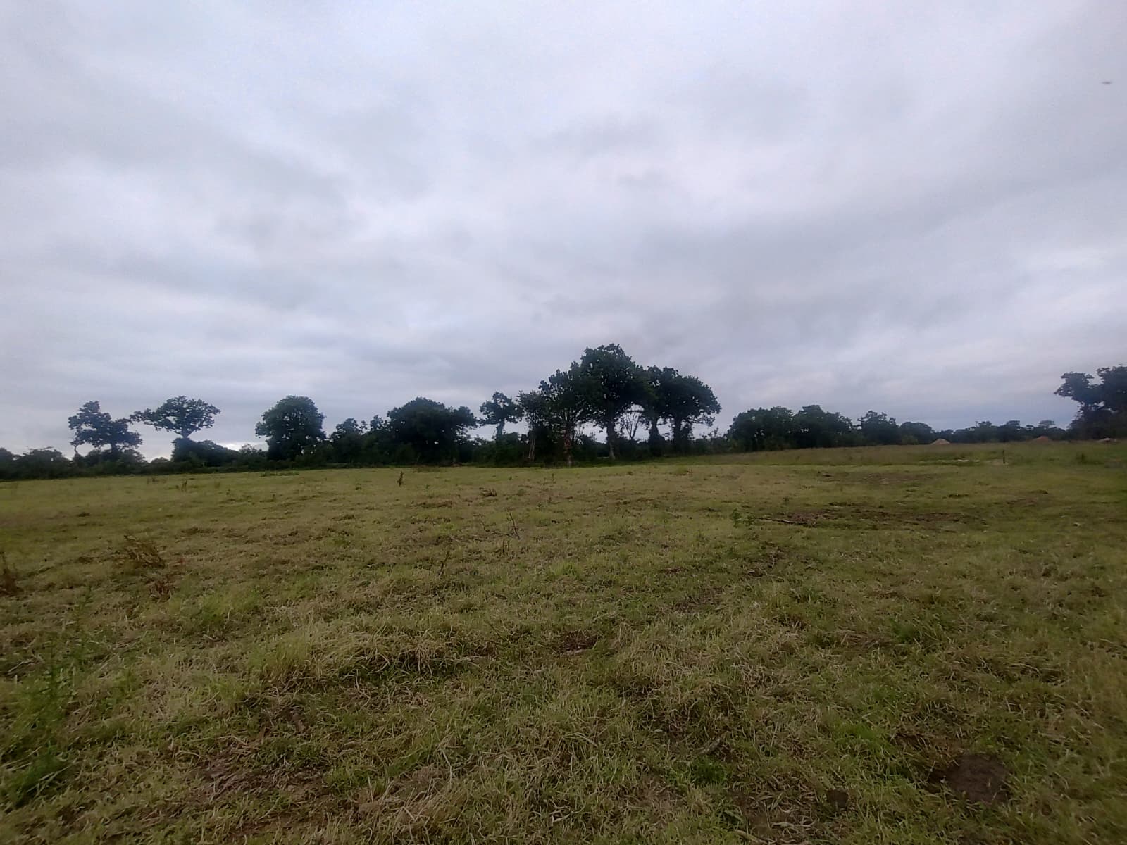 Terrain avant terrassement