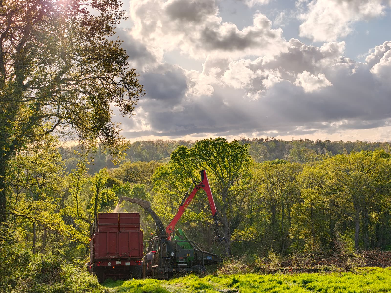 Chantier de nettoyage de terrain par Debayeux
